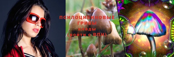 синтетический гашиш Алексеевка
