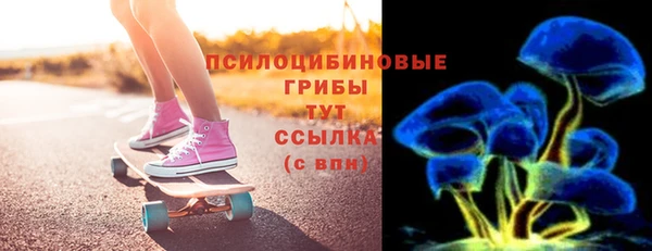 тгк Алексин