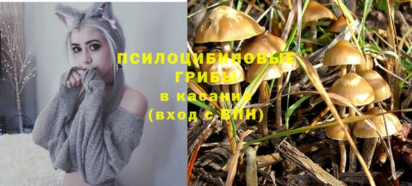 тгк Алексин