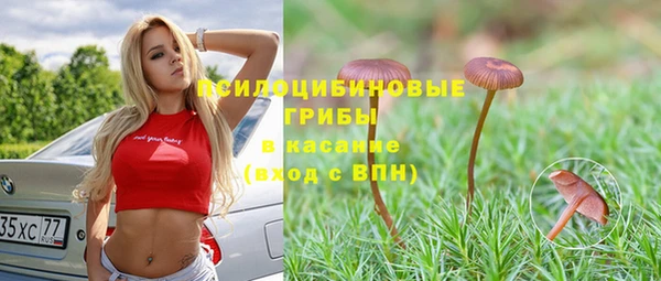 синтетический гашиш Алексеевка