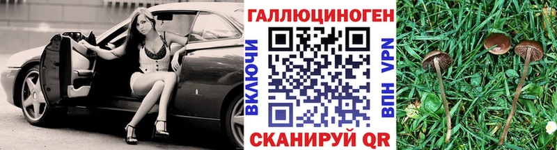 Псилоцибиновые грибы GOLDEN TEACHER  Черкесск 